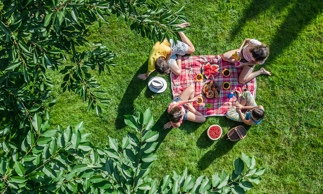 picnic in sherman oaks